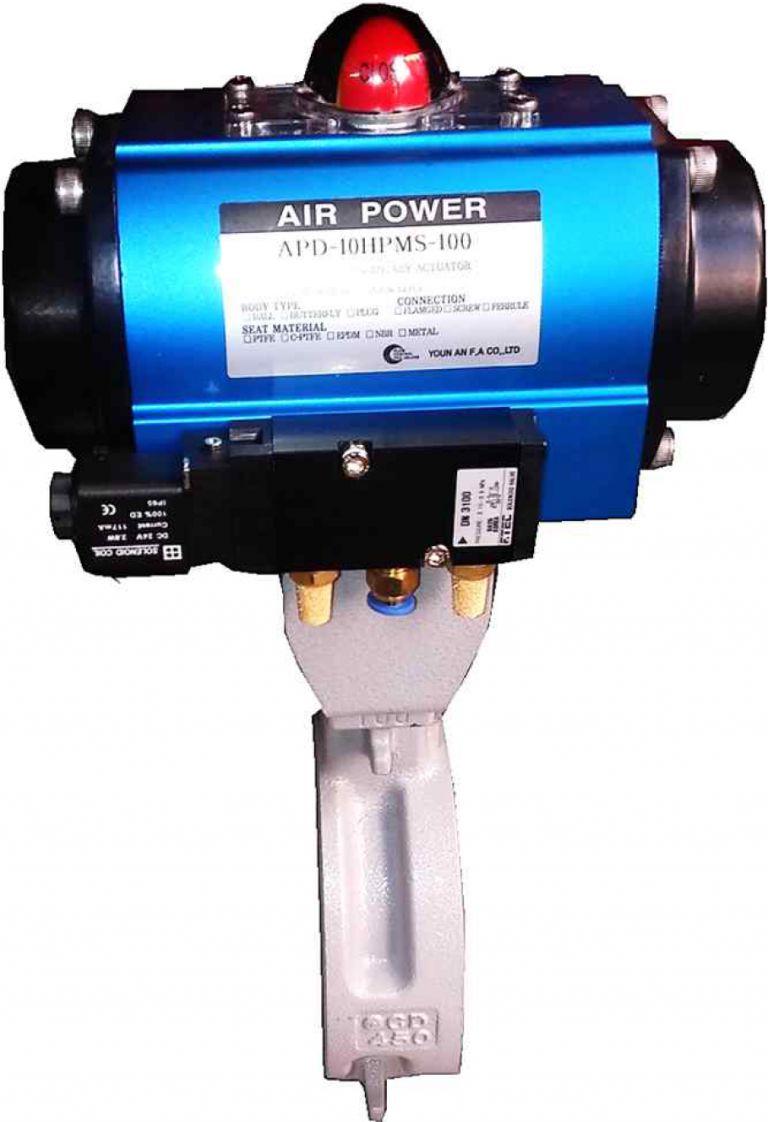 HIGH-PERPORFORMANCE BUTTERFLY TYPE